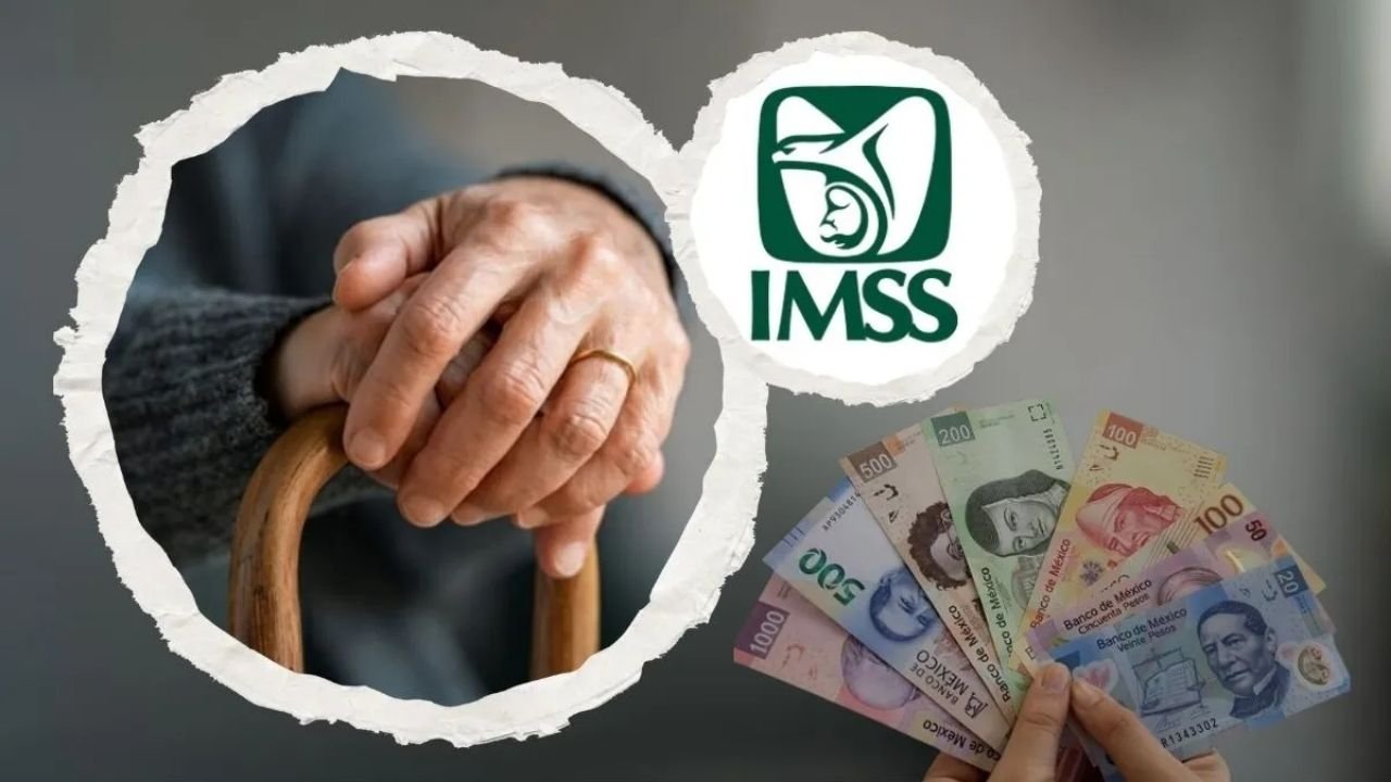 Aumento anual en pensión por viudez del IMSS: así impacta a las mujeres